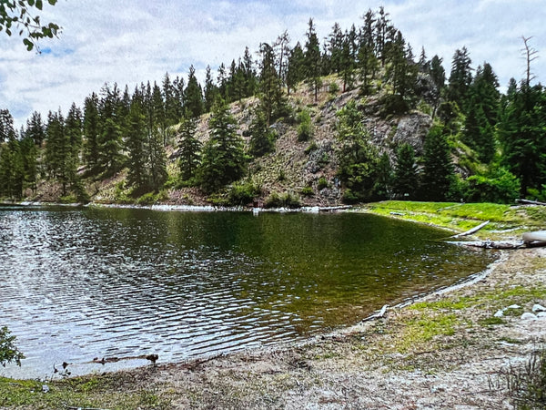 Creative Wellness with Nature,  Art Journaling and Mixed Media